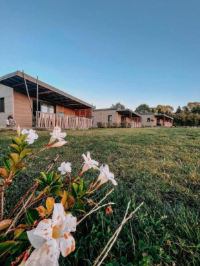 Auvergne chalets Sancy